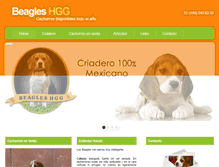 Tablet Screenshot of beagleshgg.com